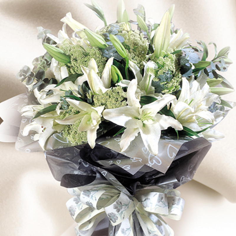 HHB06 ⭐⭐⭐⭐⭐FREE DELIVERY