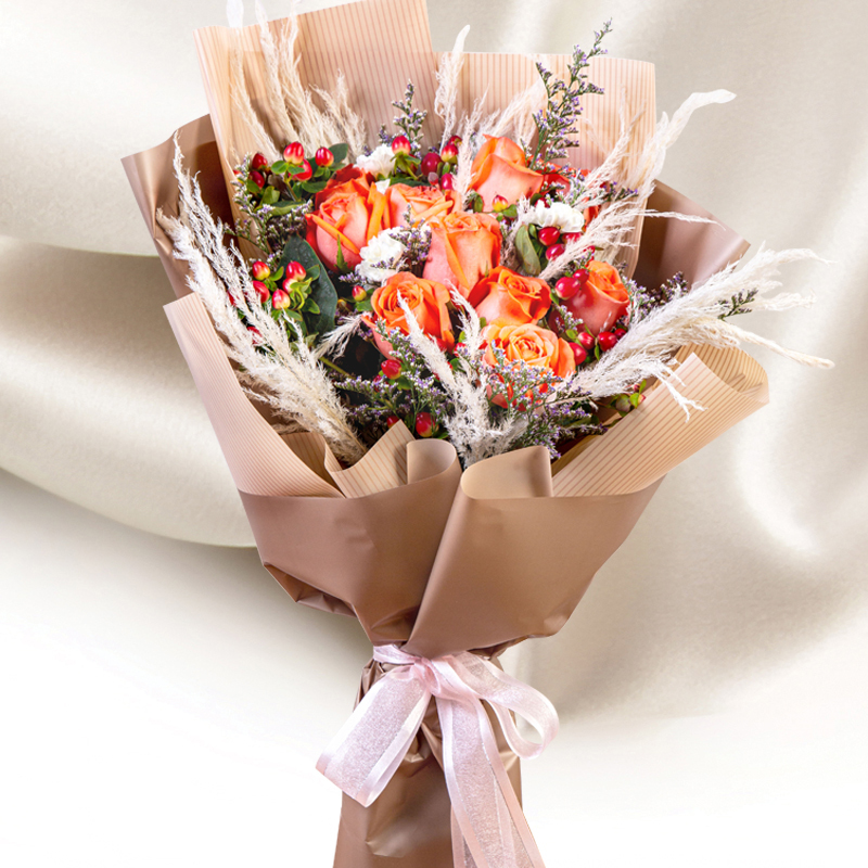 HHB33 ⭐⭐⭐⭐⭐