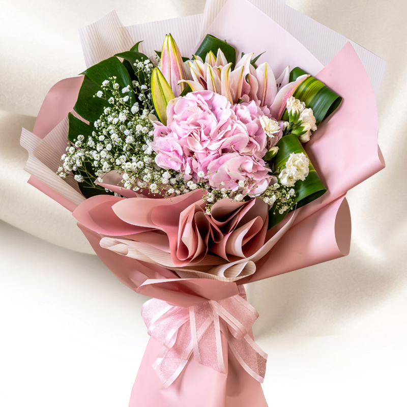 HHB36 ⭐⭐⭐⭐⭐