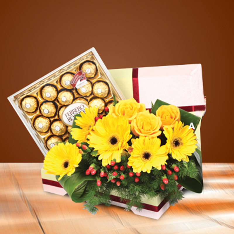 HS16 ⭐⭐⭐⭐⭐