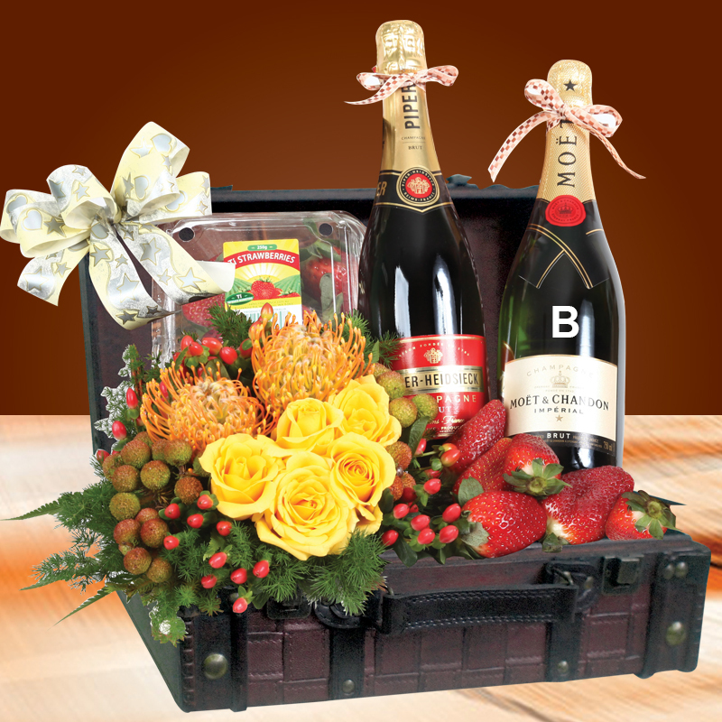 HS20B ⭐⭐⭐⭐⭐