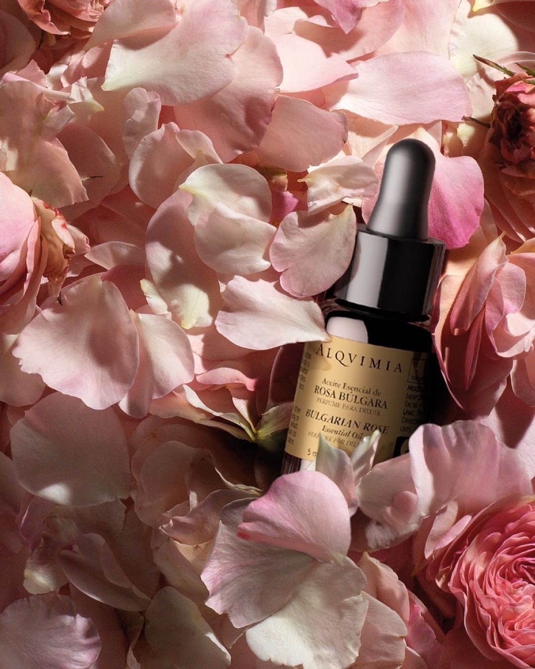ALQVIMIA 大馬士革玫瑰精油 5ML