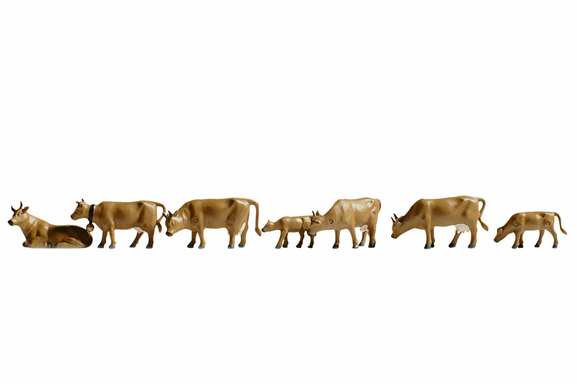 Noch 36722 N規 Cows dark-brown 黃牛