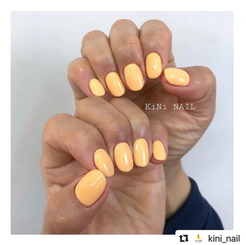 VERYGOODNAIL Y10 {PEACOCK}