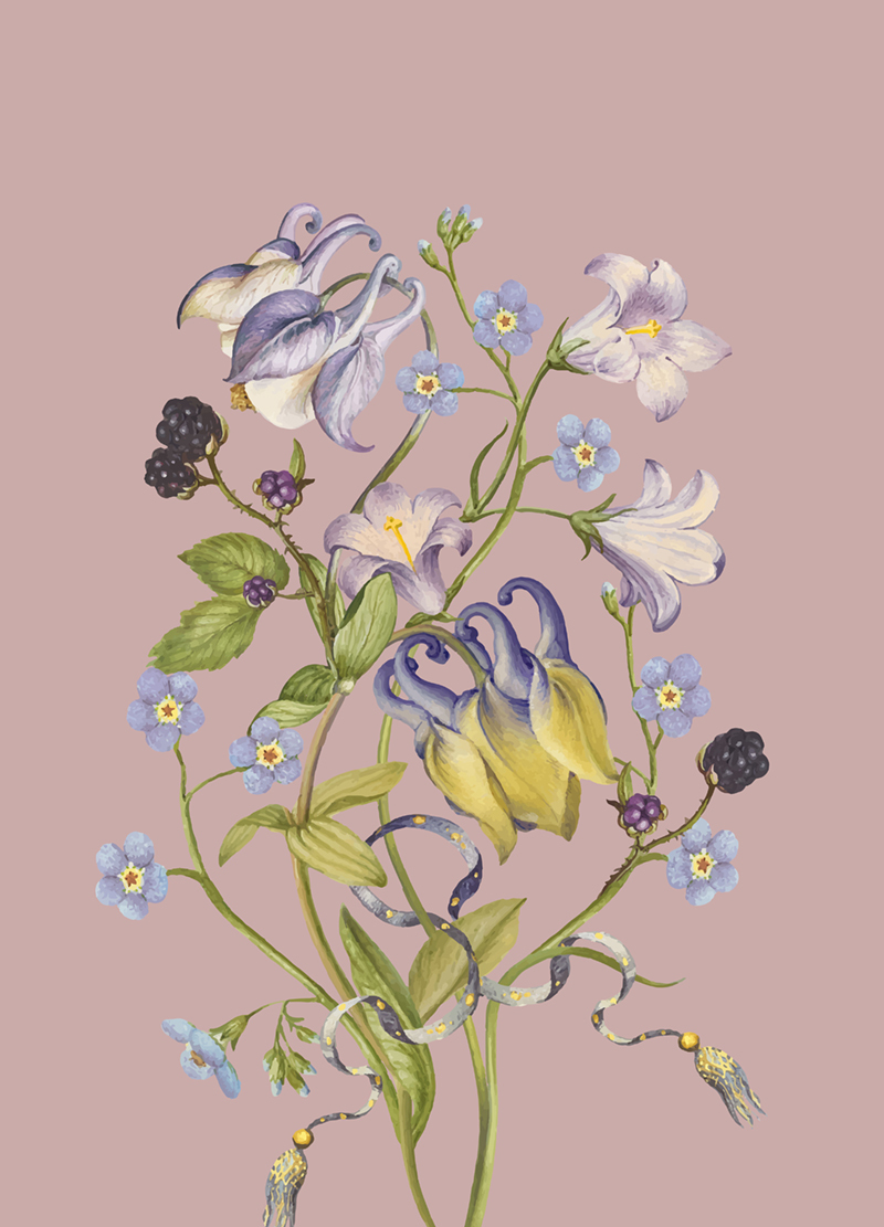 清新花草系列 008