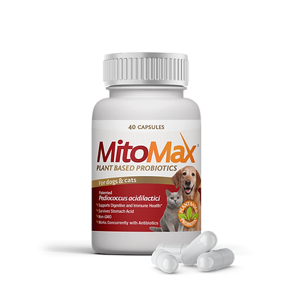 MitoMax美多益 寵物益生菌 [40粒]