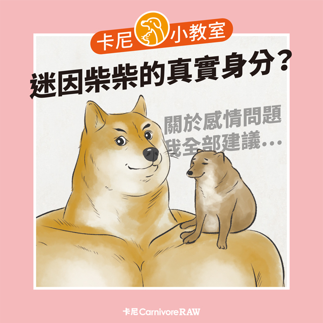 迷因柴犬圖