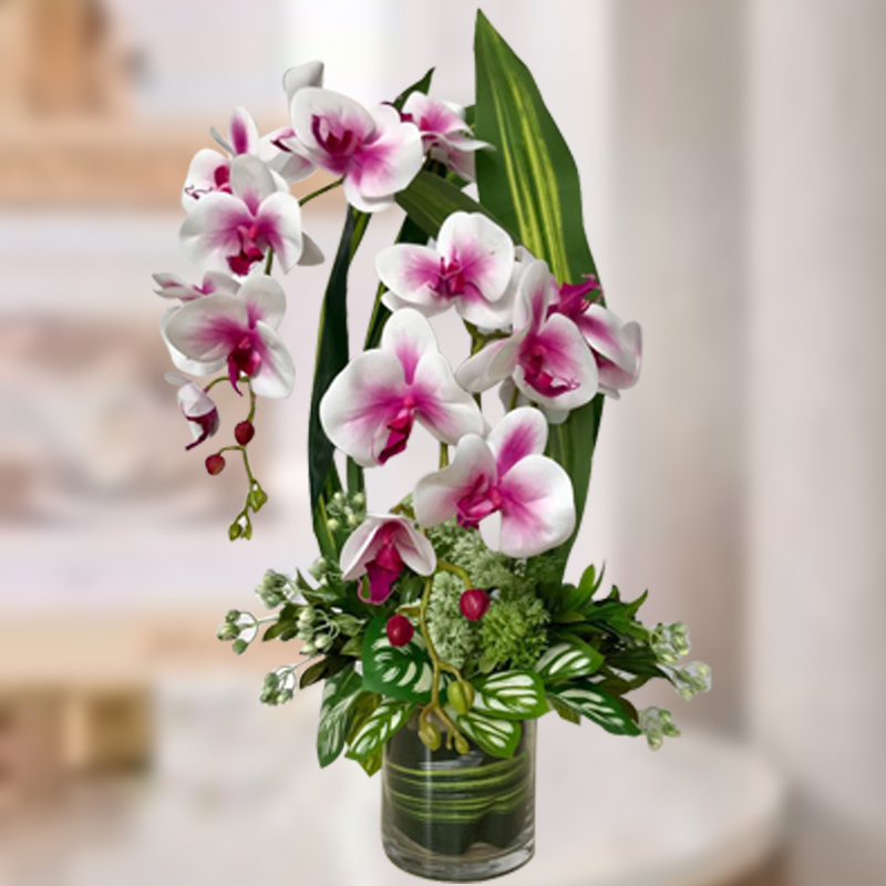 HAF36 Everlasting Splendors ⭐⭐⭐⭐⭐