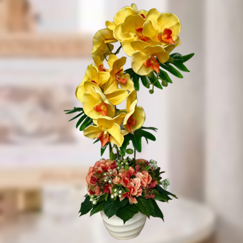 HAF39 Everlasting Splendors ⭐⭐⭐⭐⭐