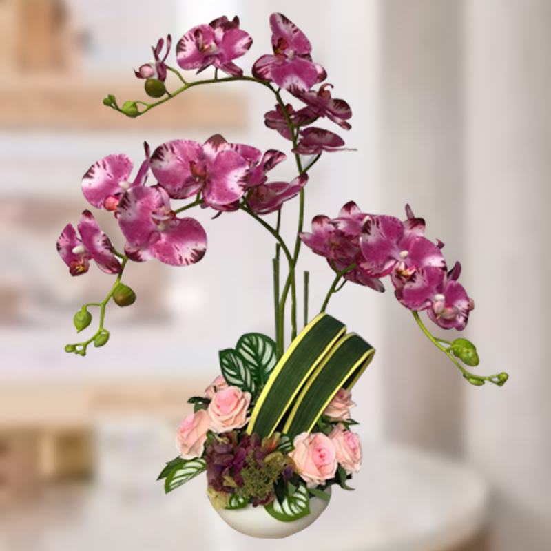 HAF40 Everlasting Splendors ⭐⭐⭐⭐⭐