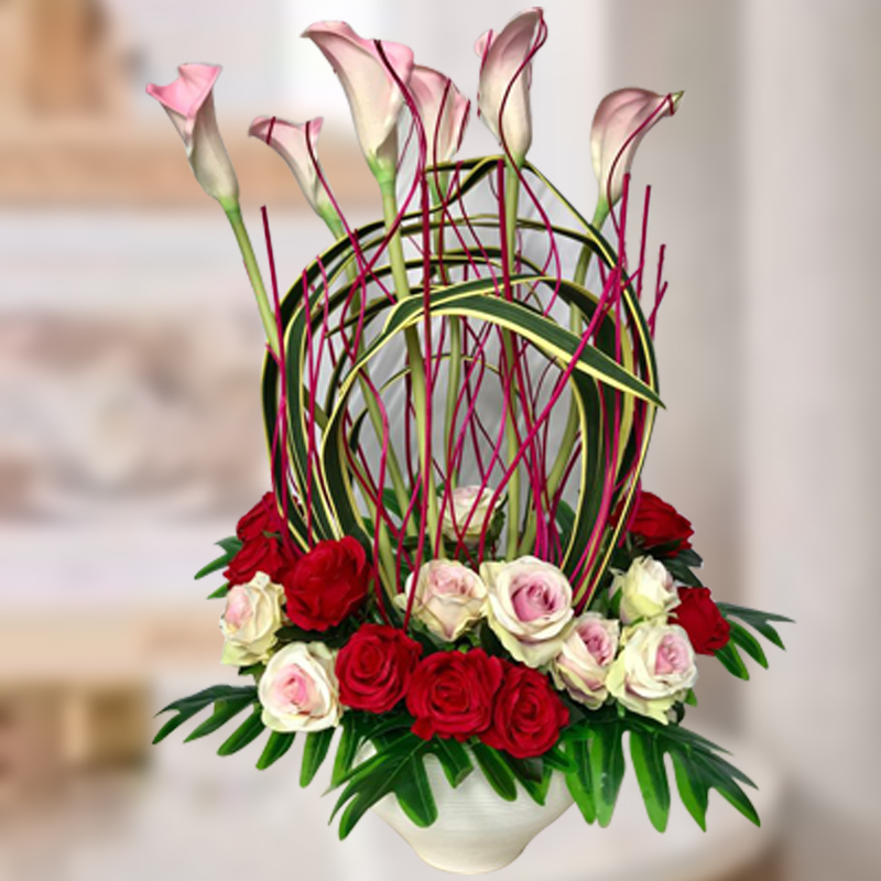 HAF46 ⭐⭐⭐⭐⭐MEMBER DISCOUNT