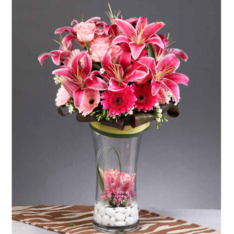 HFA13 ⭐⭐⭐⭐⭐member discount