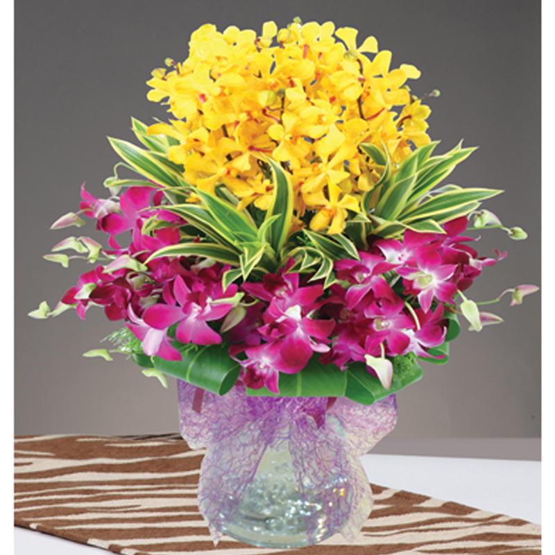 HFA17 ⭐⭐⭐⭐⭐member discount