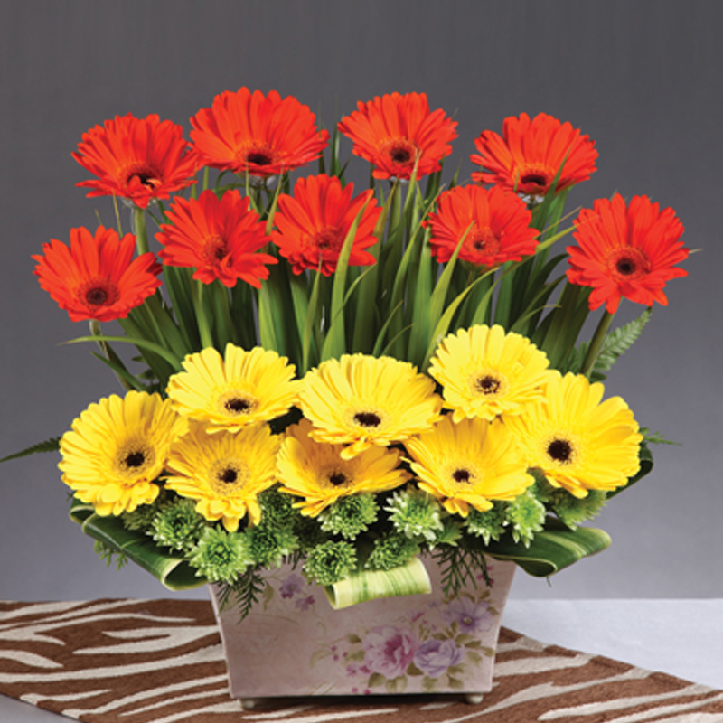 HFA21 ⭐⭐⭐⭐⭐member discount