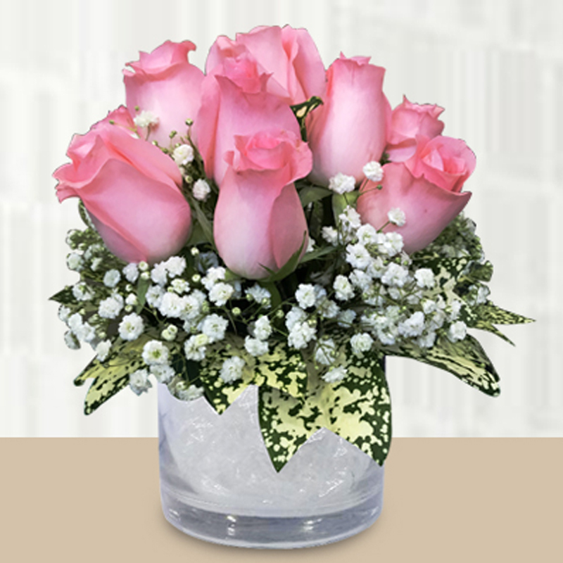 HFA23 ⭐⭐⭐⭐⭐