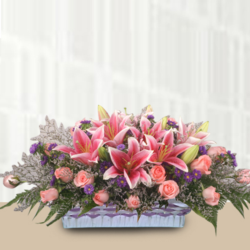 HFA33 ⭐⭐⭐⭐⭐MEMBER DISOUNT