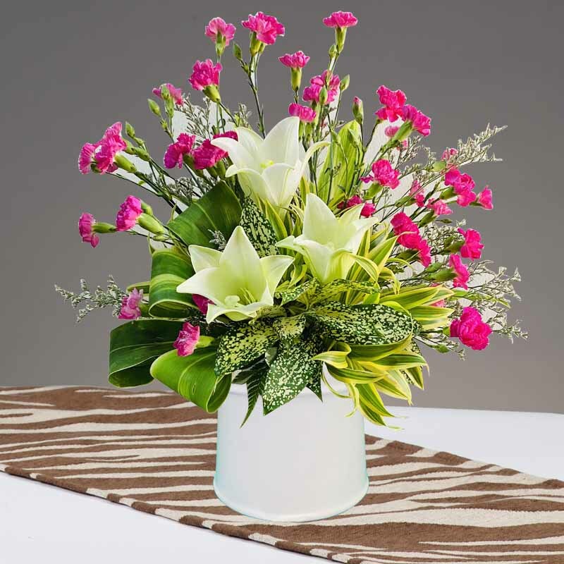 HFA41 ⭐⭐⭐⭐⭐MEMBER DISCOUNT