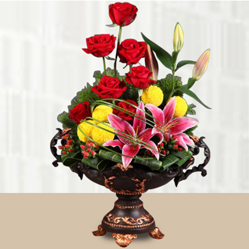 HFA47 ⭐⭐⭐⭐⭐