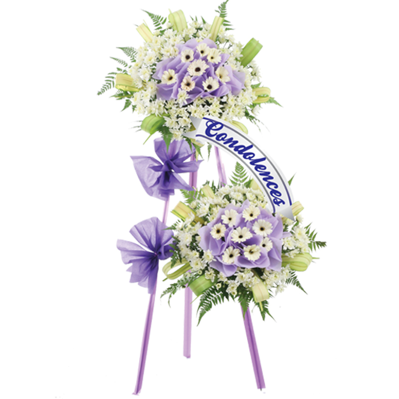 H35 ⭐⭐⭐⭐⭐MEMBER DISCOUNT