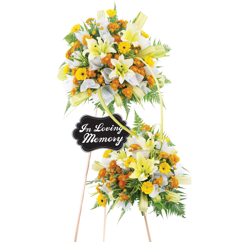 H117 ⭐⭐⭐⭐⭐