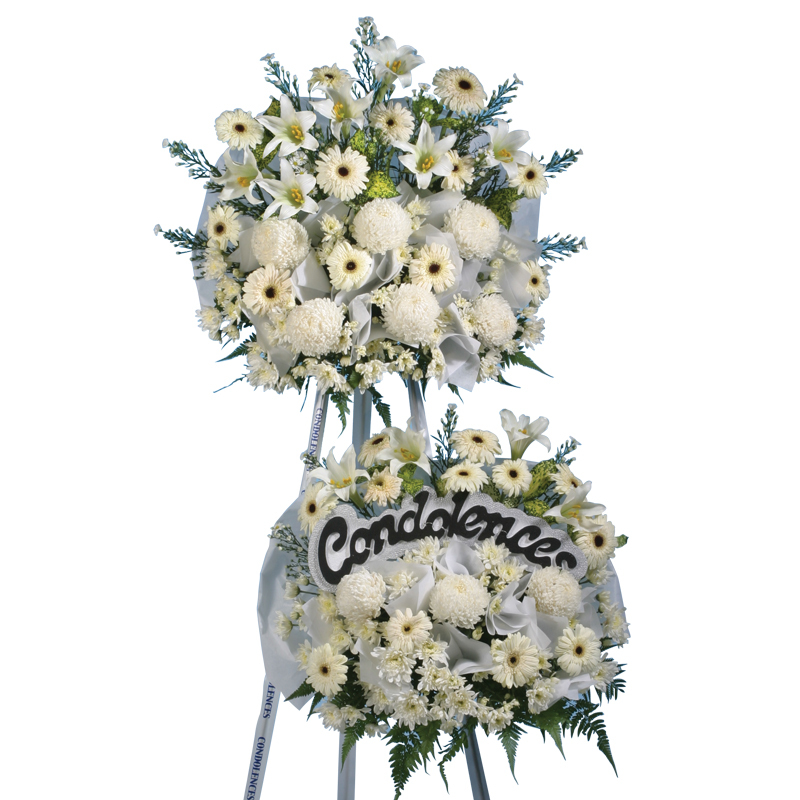 H123 ⭐⭐⭐⭐⭐