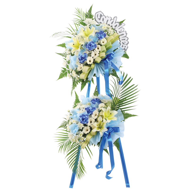 H132 ⭐⭐⭐⭐⭐MEMBER DISCOUNT