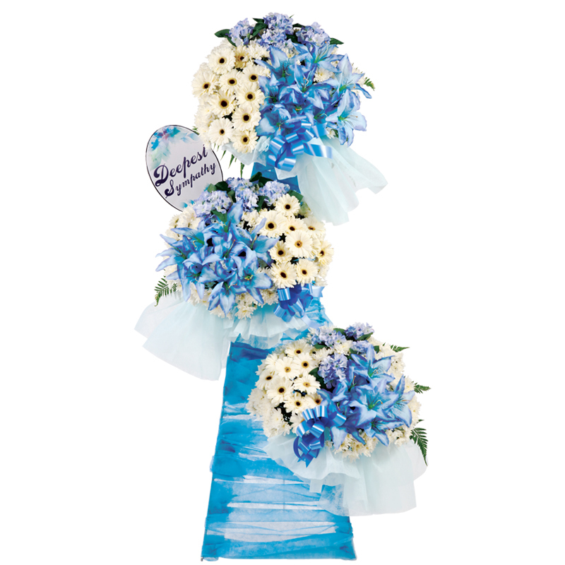 H135 ⭐⭐⭐⭐⭐