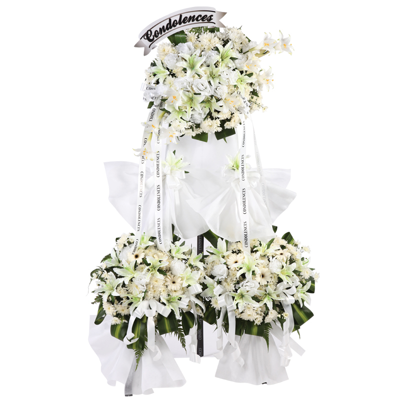 H146 ⭐⭐⭐⭐⭐MEMBER DISCOUNT