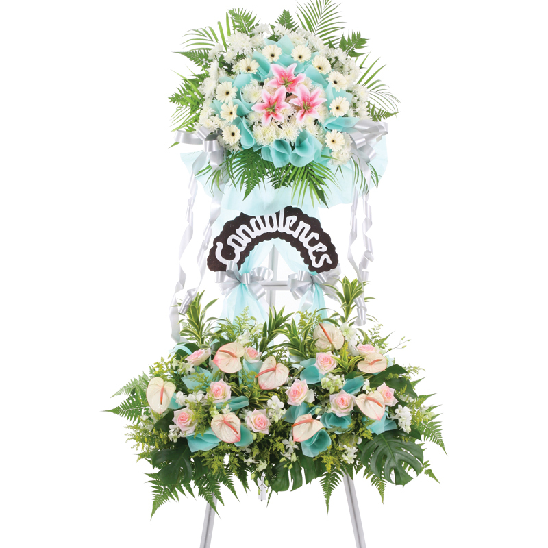 H147 ⭐⭐⭐⭐⭐