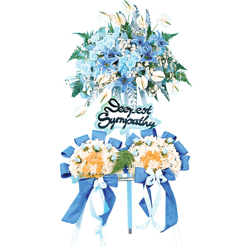 H158 ⭐⭐⭐⭐⭐