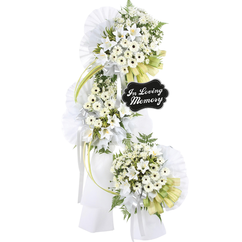 H162 ⭐⭐⭐⭐⭐