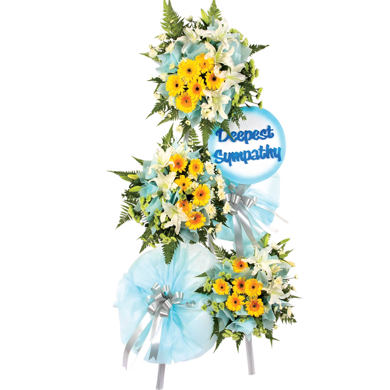 H167 ⭐⭐⭐⭐⭐