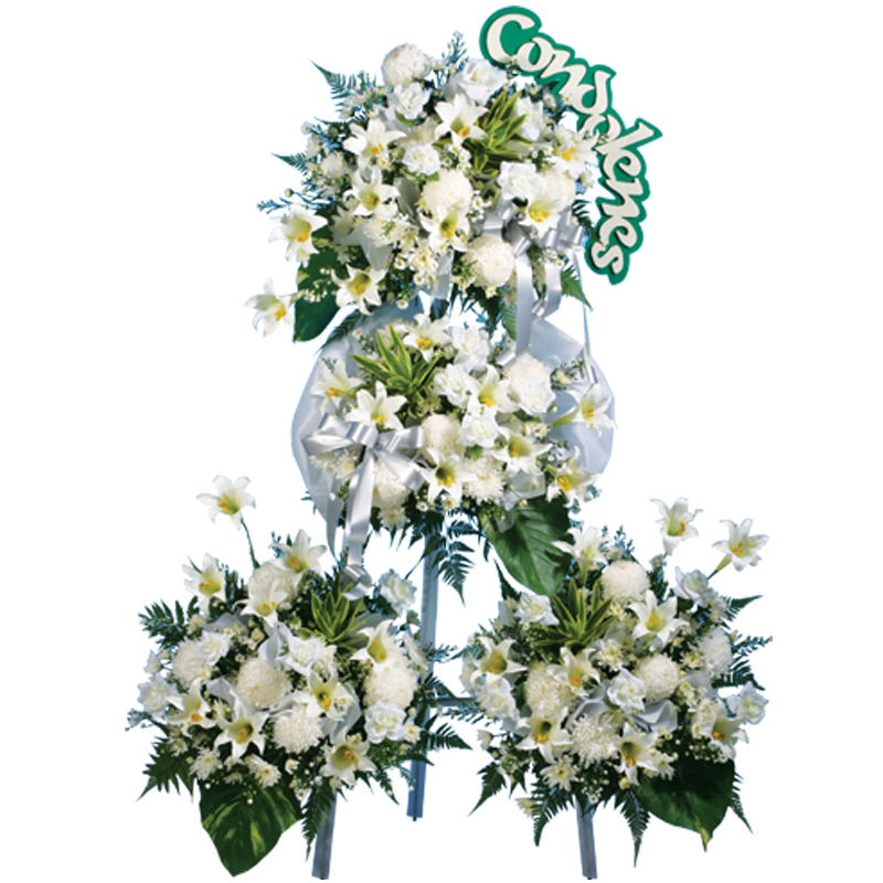 H187 ⭐⭐⭐⭐⭐