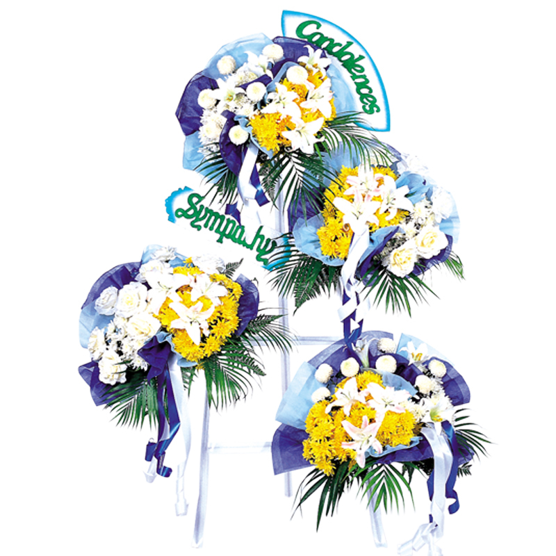 H189 ⭐⭐⭐⭐⭐