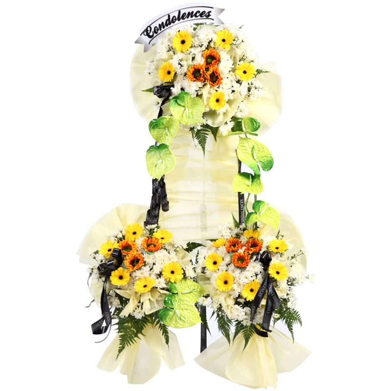 H197 ⭐⭐⭐⭐⭐