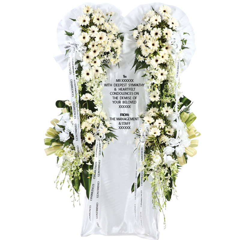 H201 ⭐⭐⭐⭐⭐MEMBER DISCOUNT