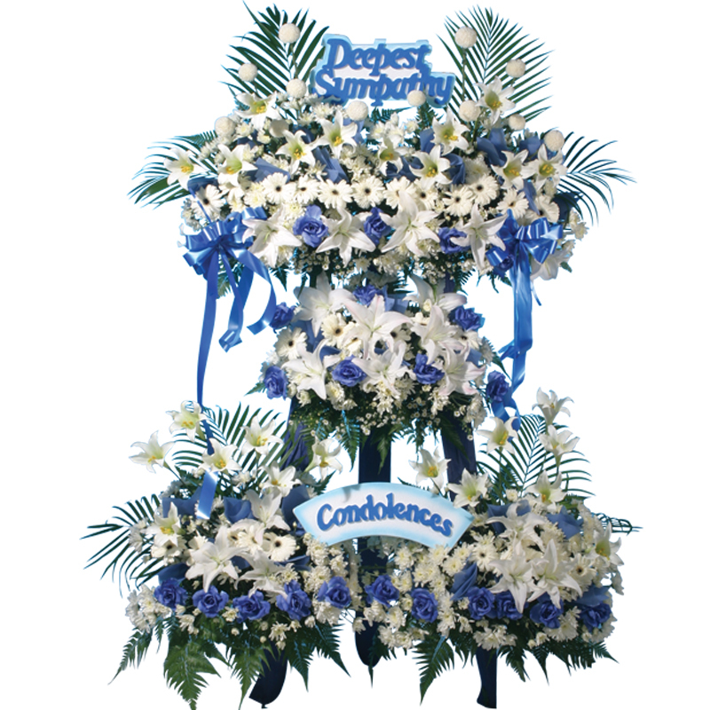 H207 ⭐⭐⭐⭐⭐MEMBER DISCOUNT