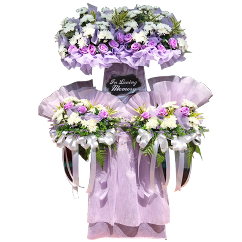 H220 ⭐⭐⭐⭐⭐MEMBER DISCOUNT