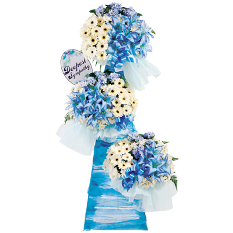 H238 ⭐⭐⭐⭐⭐MEMBER DISCOUNT