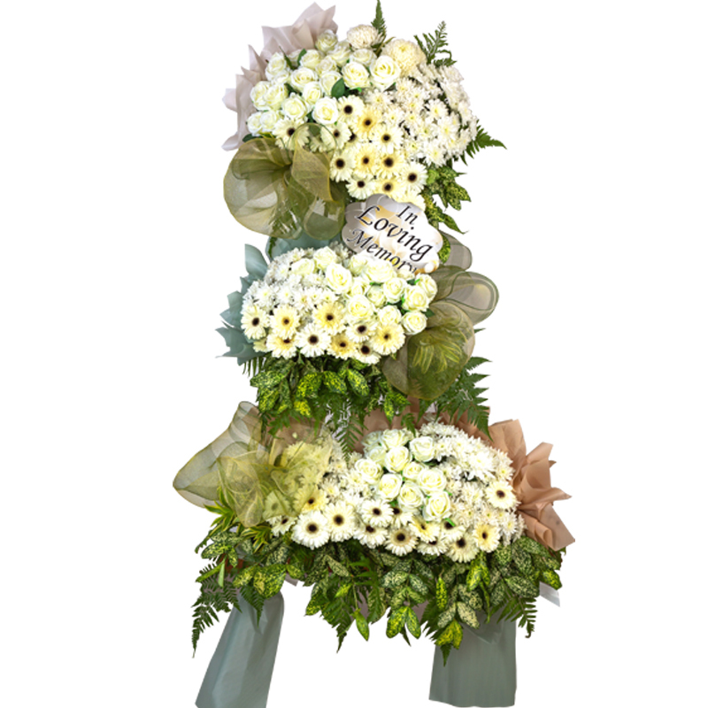 H268 ⭐⭐⭐⭐⭐