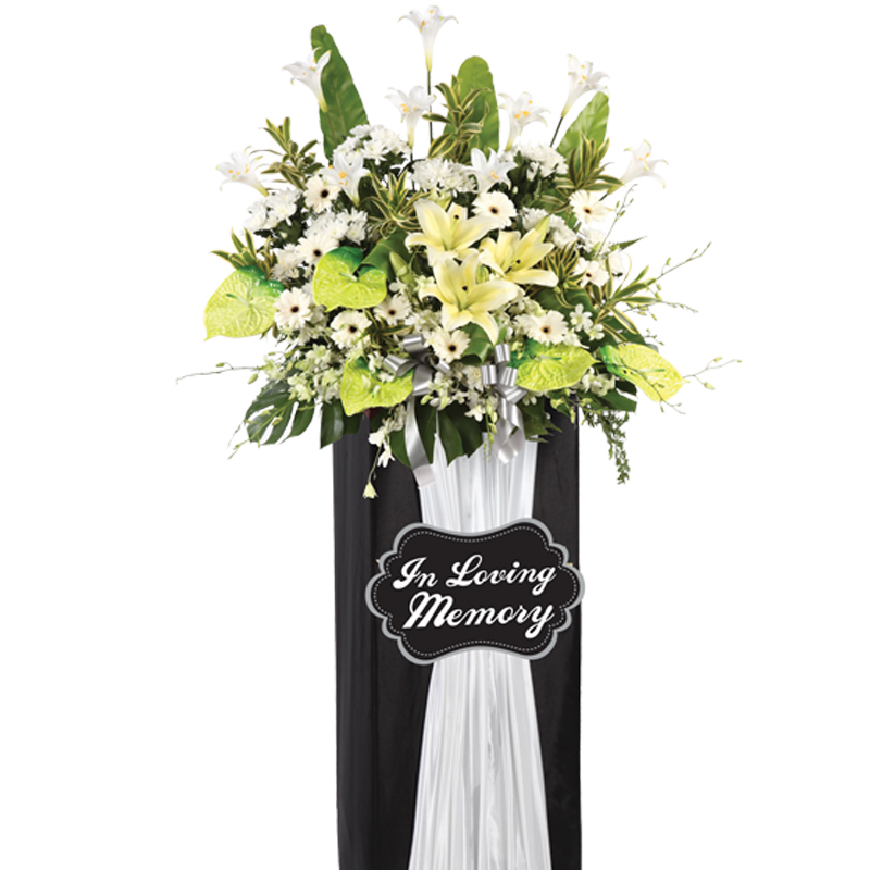 H68 ⭐⭐⭐⭐⭐member discount