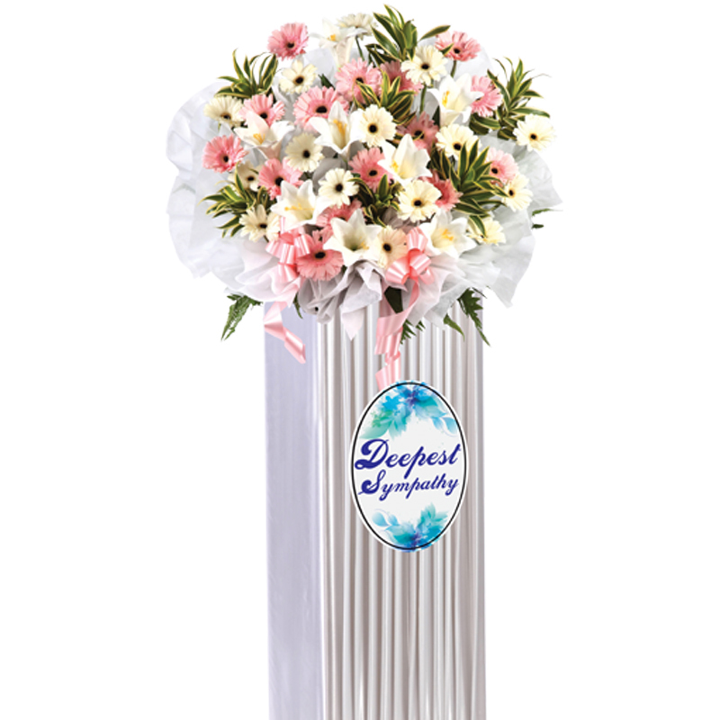 H69 ⭐⭐⭐⭐⭐member discount