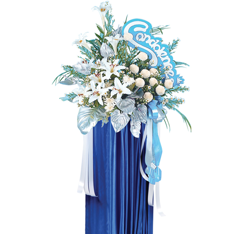 H75 ⭐⭐⭐⭐⭐member discount