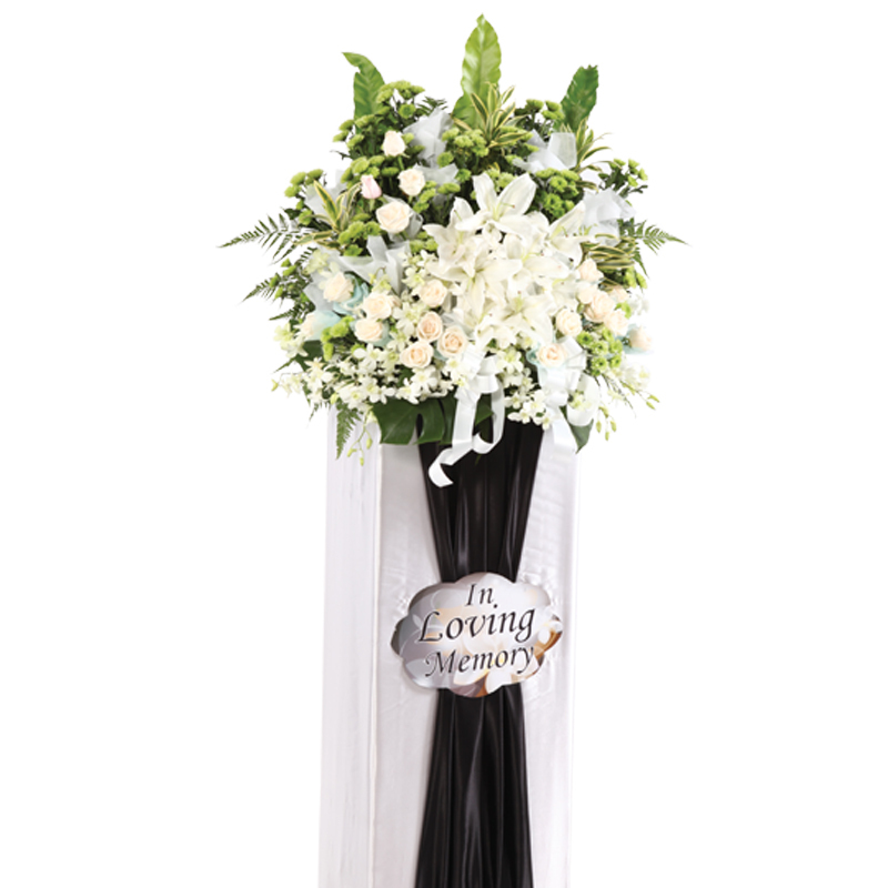 H87 ⭐⭐⭐⭐⭐member discount