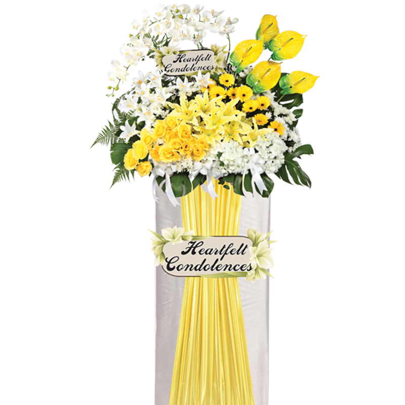 H90 ⭐⭐⭐⭐⭐Member Discount