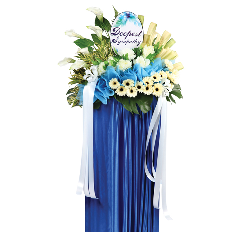 H91 ⭐⭐⭐⭐⭐member discount