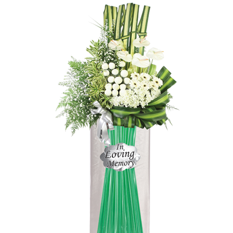 H173 ⭐⭐⭐⭐⭐member discount