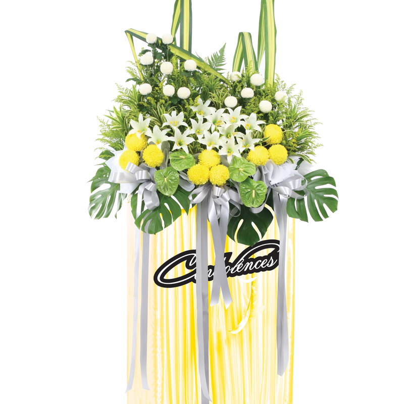 H208 ⭐⭐⭐⭐⭐member discount