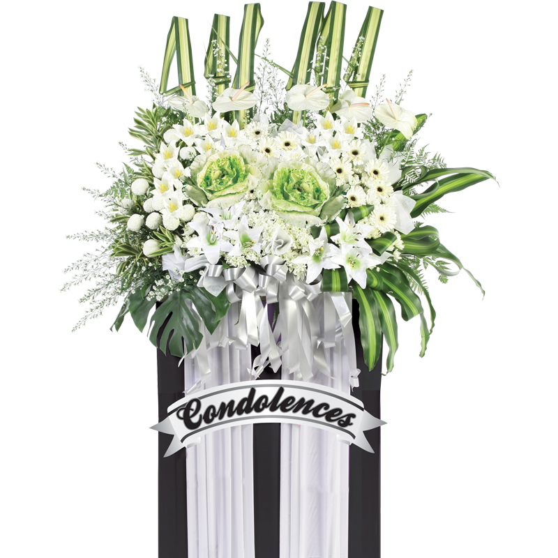 H212 ⭐⭐⭐⭐⭐member discount