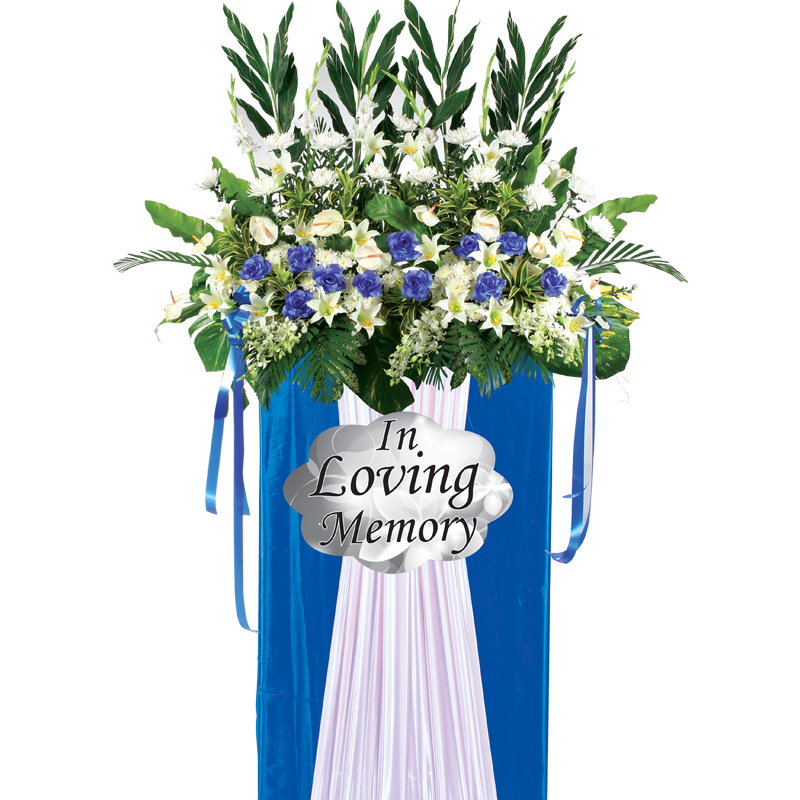 H211 ⭐⭐⭐⭐⭐member discount